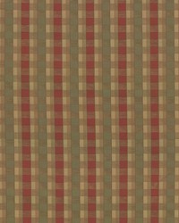 Bridlewood Pyracantha by   