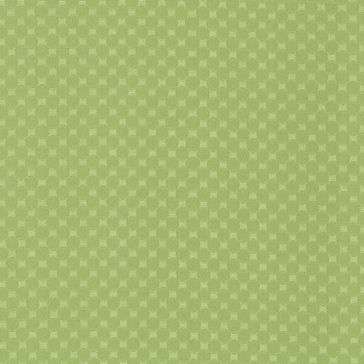 Kasmir Bubble Bath Meadow in 5099 Light Green Upholstery Cotton  Blend Fire Rated Fabric