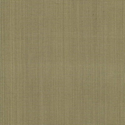 Kasmir Burnet Celery in 5074 Green Upholstery Cotton  Blend Fire Rated Fabric