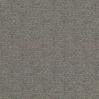 Kasmir Cabo Cocoa in 5042 Brown Upholstery Polyester  Blend Fire Rated Fabric