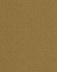 Canalta Golden by  Kasmir 