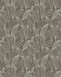 Candlewood Dove Grey by  Kasmir 