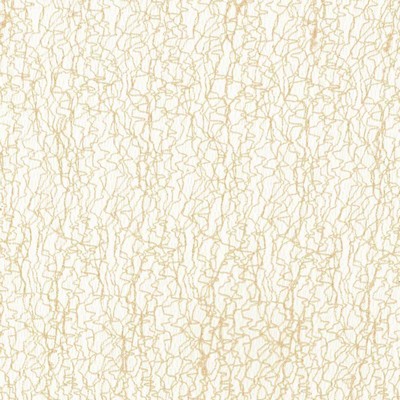 Kasmir Candy Floss Pearl in IMPRESSIONS Beige Polyester  Blend