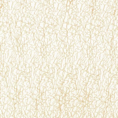 Kasmir Candy Floss Pearl in IMPRESSIONS Beige Polyester  Blend