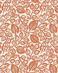 Capeside Tangerine by   