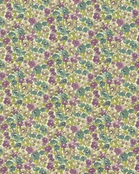 Carillon Garden Orchid by   