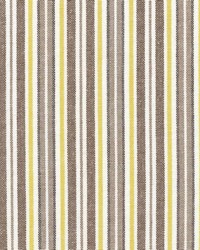 Caspiana Stripe Smoke by  Kasmir 