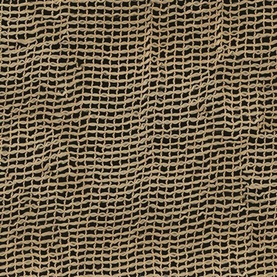 Kasmir Castaway Champagne in SHEER ARTISTRY Beige Polyester  Blend Fire Rated Fabric NFPA 701 Flame Retardant  Casement  Solid Sheer   Fabric