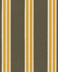 Catskill Stripe Graphite by  Kasmir 