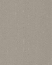 Cavallis Driftwood by   