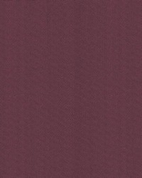 Cavallis Eggplant by   