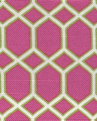 Cebu Berry by  Kasmir 