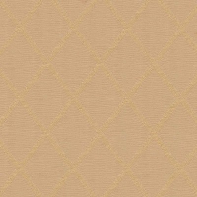 Kasmir Chambers Trellis Honey in TRIBECA Brown Polyester  Blend Fire Rated Fabric NFPA 701 Flame Retardant   Fabric