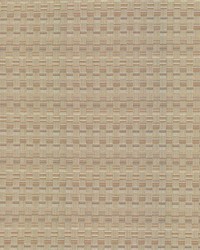 Check This Out Haze by   