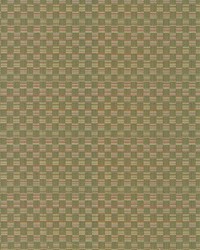 Check This Out Kiwi by   