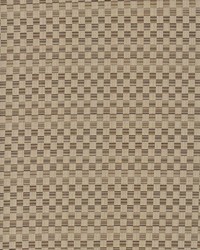 Check This Out Latte by   