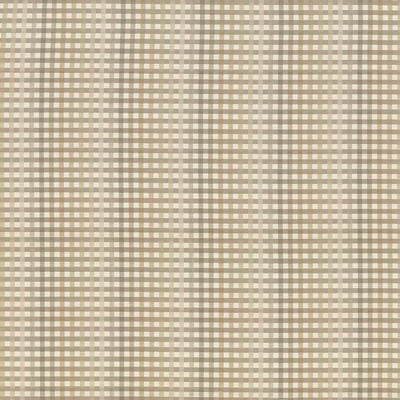 Kasmir Chloe Check Smokey Quartz in 5066 Grey Upholstery Cotton  Blend Fire Rated Fabric Plaid and Tartan  Fabric