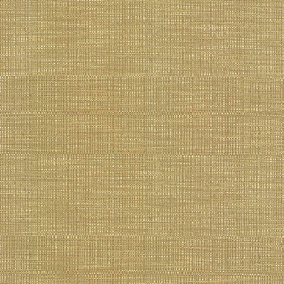 Kasmir Ciro Honeysuckle in 5093 Multi Upholstery Rayon  Blend Fire Rated Fabric