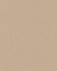 Cobblestone Beige by  Kasmir 