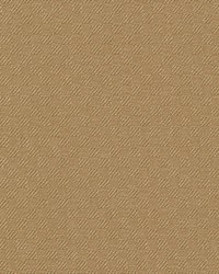 Cobblestone Cashew by  Kasmir 