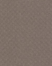 Cobblestone Cement by  Kasmir 