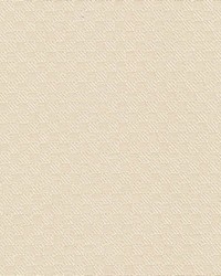 Cobblestone Cream by  Kasmir 