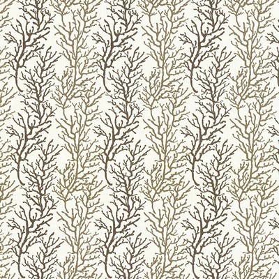 Kasmir Coral Cay Stripe Natural in 5078 Beige Upholstery Viscose  Blend Fire Rated Fabric Tropical   Fabric
