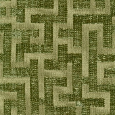 Kasmir Corfu Fern in GRAND TRADITIONS VOL 2 Green Upholstery Polyester  Blend Fire Rated Fabric Traditional Chenille  Ethnic and Global   Fabric