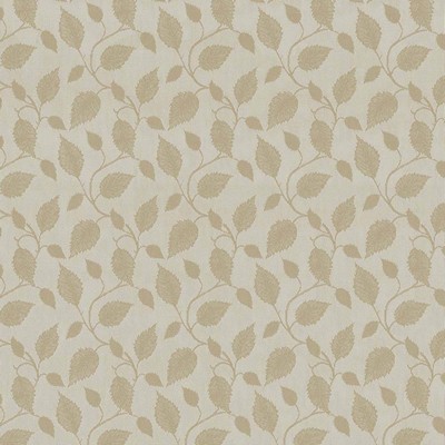 Kasmir Counterpoint Pebble in IMPRESSIONS Multi Polyester  Blend Vine and Flower   Fabric