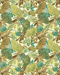 Cozumel Lily Pond by   