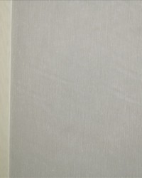 Crystal Bone by  Kasmir 