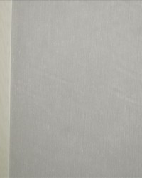 Crystal Champagne by  Kasmir 