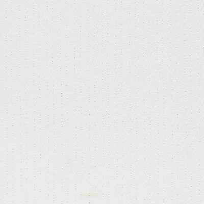 Kasmir Dashing Stripe White in SHEER SIMPLICITY White Polyester  Blend Fire Rated Fabric NFPA 701 Flame Retardant   Fabric