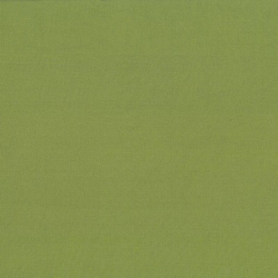 Kasmir Debonair Avocado in DEBONAIR Green Polyester  Blend Fire Rated Fabric Solid Faux Silk   Fabric