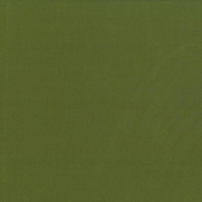 Kasmir Debonair Pesto in DEBONAIR Green Polyester  Blend Fire Rated Fabric Solid Faux Silk   Fabric