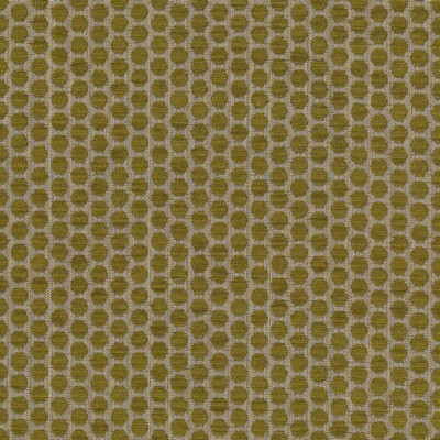 Kasmir Delightful Dots Sprout in 1442 Multi Upholstery Acrylic  Blend Traditional Chenille   Fabric