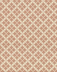 Devi Persimmon by  Kasmir 