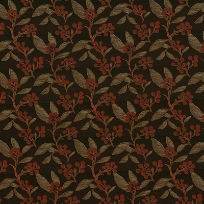Kasmir Dewberry Chocolate in 1418 Brown Upholstery Polyamide  Blend Fire Rated Fabric Ethnic and Global   Fabric