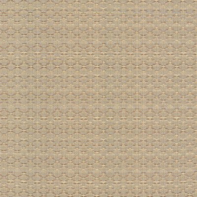 Kasmir Diamonside Haze in TAG-A-LONGS VOL 10 Brown Upholstery Polyester  Blend Fire Rated Fabric