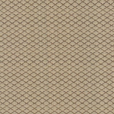 Kasmir Diamonside Latte in TAG-A-LONGS VOL 10 Beige Upholstery Polyester  Blend Fire Rated Fabric