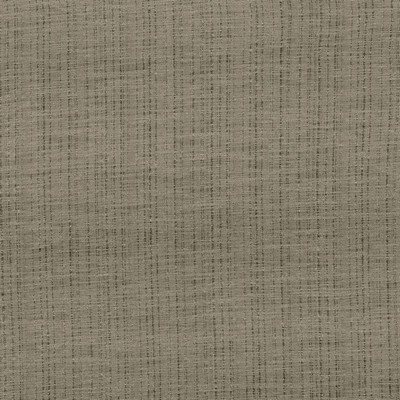 Kasmir Diaphanous Taupe in 5031 Brown Polyester  Blend