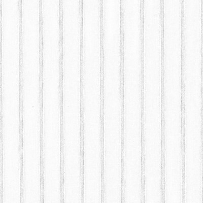 Kasmir Dinky Winter White in SHEER SIMPLICITY White Polyester  Blend Fire Rated Fabric NFPA 701 Flame Retardant   Fabric