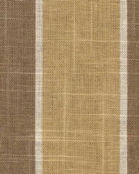 Dodge Chocolate by  Kasmir 