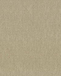 Dream Weaver Oyster by  Kasmir 