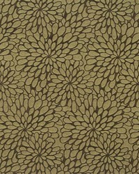 Duggan Sherbert by  Kasmir 