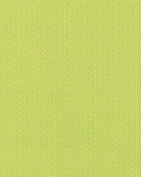 Ecco Chic Citrine by   