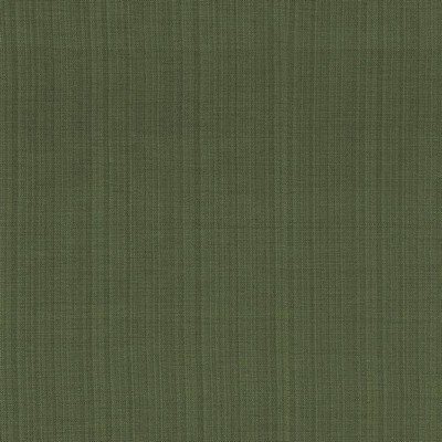 Kasmir Ecuador Palm in FULL SPECTRUM VOL 1 Green Upholstery Polyester  Blend Fire Rated Fabric