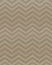 Electrify Champagne by   