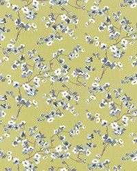 Empress Garden Green Tea by   