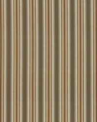 Englewood Stripe Brownstone by  Kasmir 